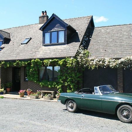 Ty Carreg Llanwrtyd Wells Ngoại thất bức ảnh