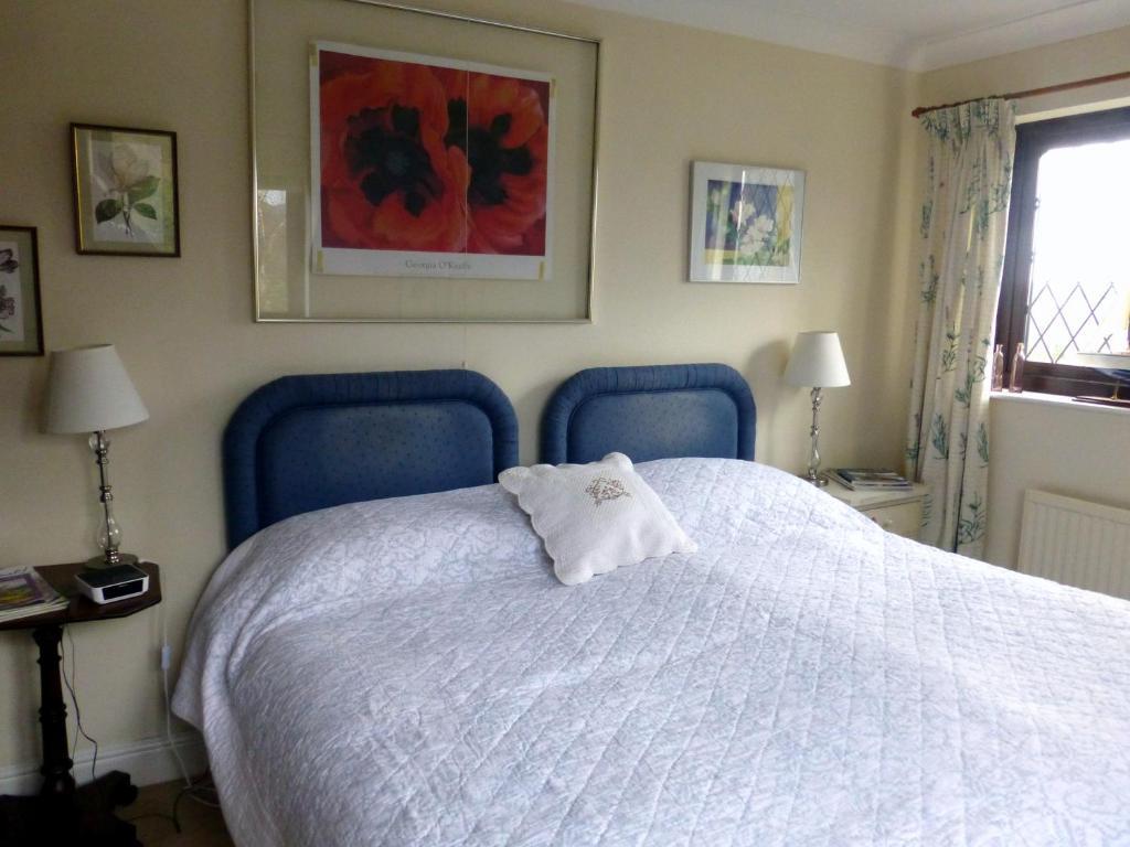 Ty Carreg Llanwrtyd Wells Phòng bức ảnh