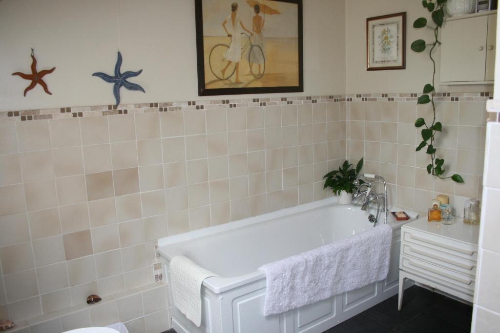 Ty Carreg Llanwrtyd Wells Phòng bức ảnh