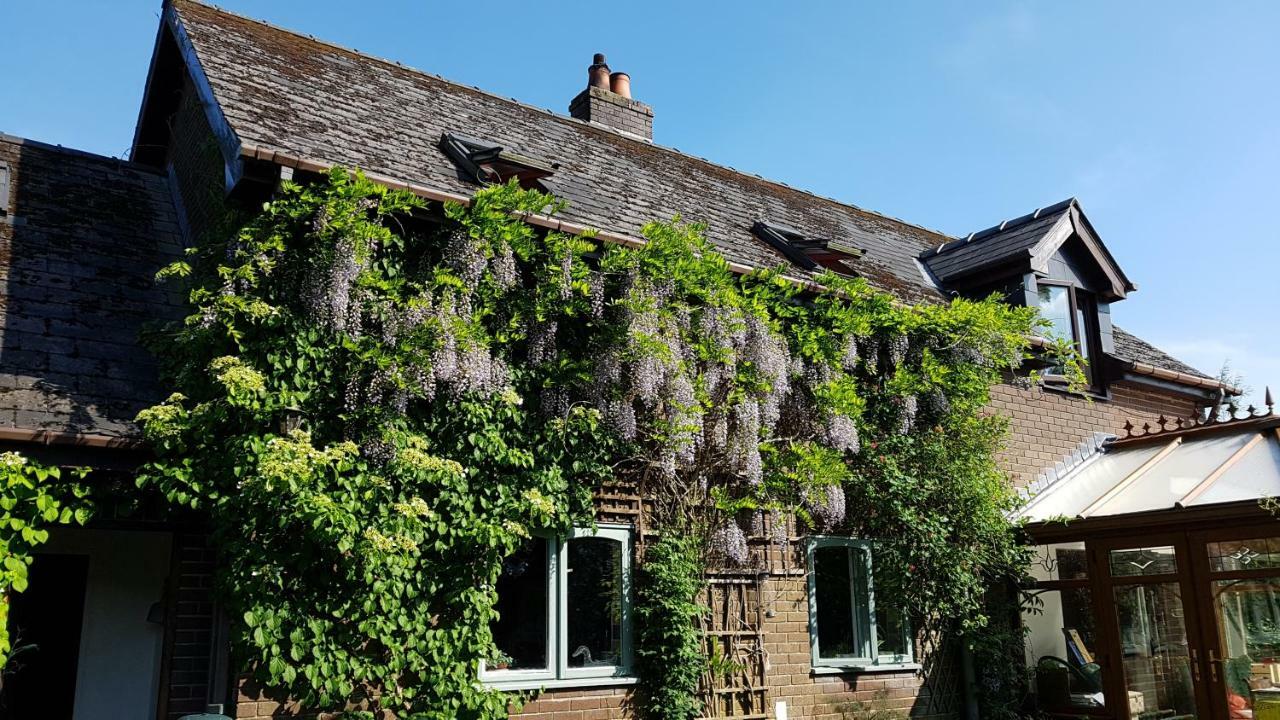 Ty Carreg Llanwrtyd Wells Ngoại thất bức ảnh